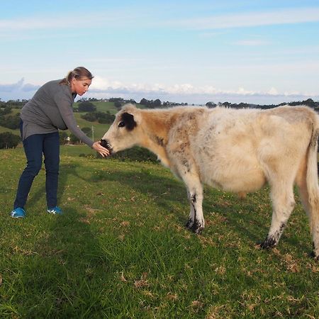 Byron Bay Farm Cottages 외부 사진